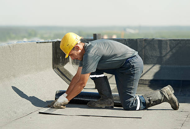 Best Commercial Insulation in Homosassa, FL